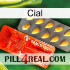 Cial new01
